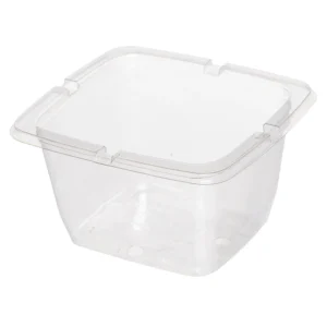 Pint Top Seal PET Punnet