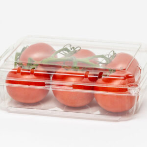 1lb TOV Button Snap rPET Clamshell