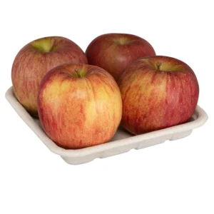 EC 105 Pulp Packaging Tray