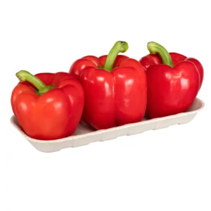 EC 112 Pulp Packaging Tray