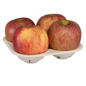 EC 204 Pulp Packaging Tray