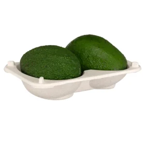 EC 210 Pulp Packaging Tray