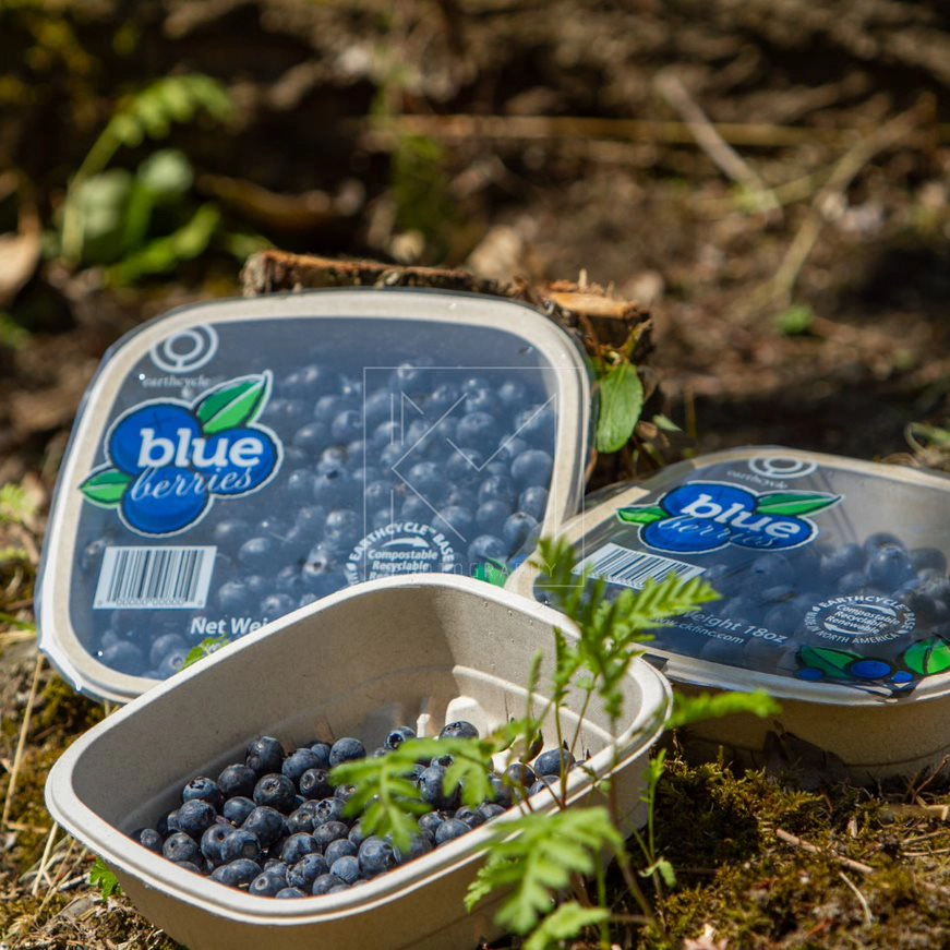 Earthcycle Blueberry Packaging copy
