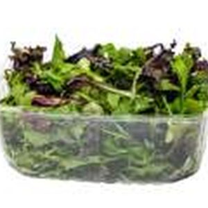5oz Top Seal rPET Salad Tub