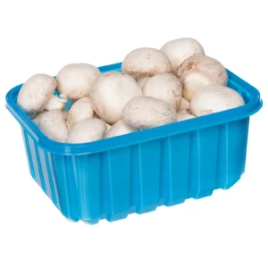 16oz Mushroom Till Blue